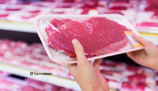 venda de carne bovina