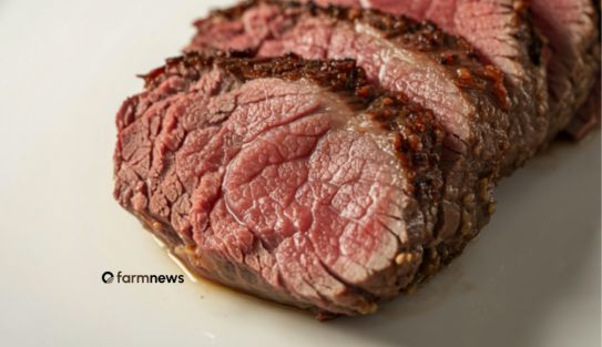 exportação de carne bovina