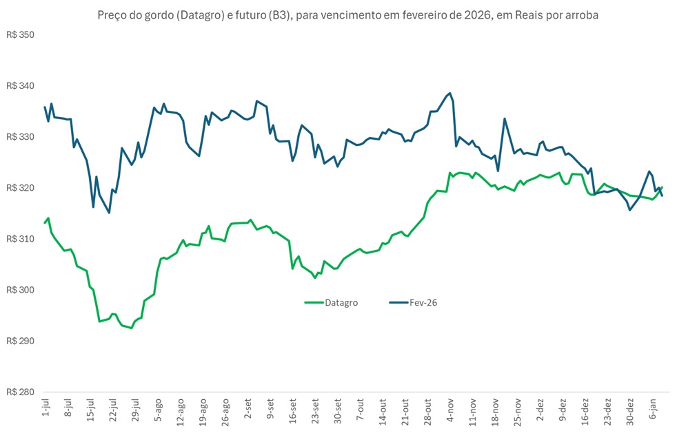 preço futuro do boi gordo