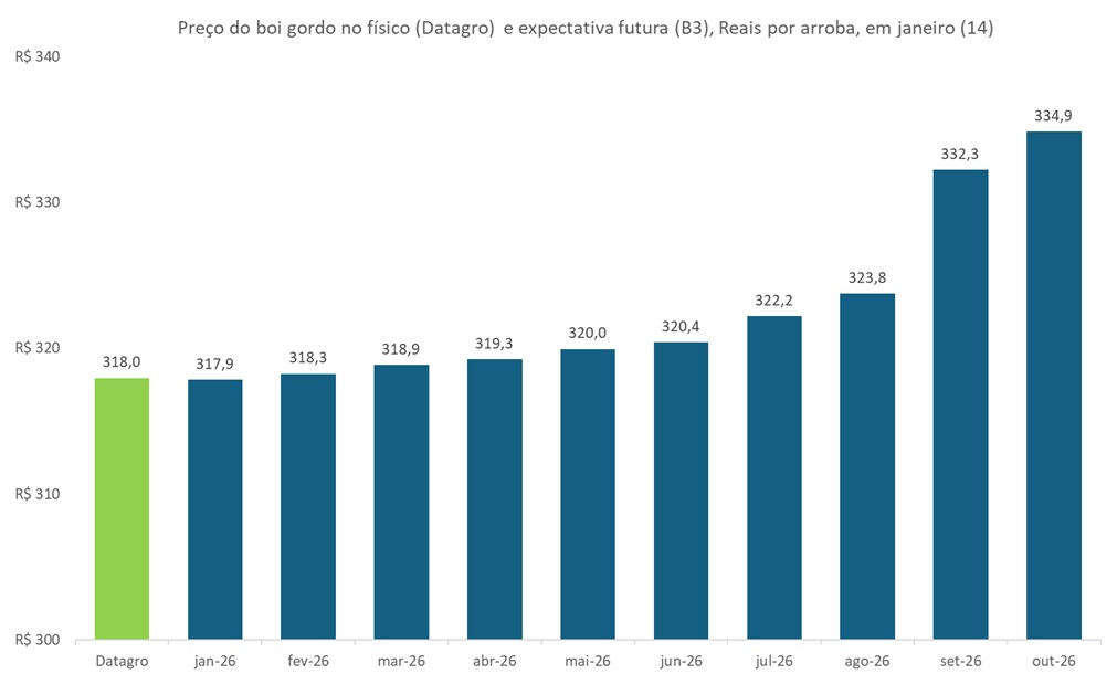 preço futuro do boi gordo