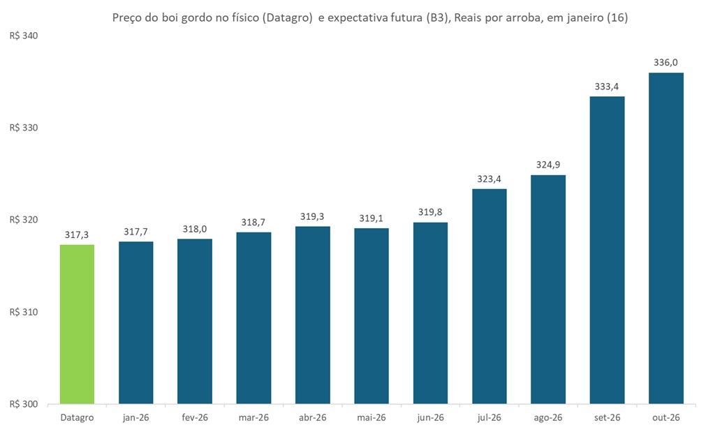 preço futuro do boi gordo