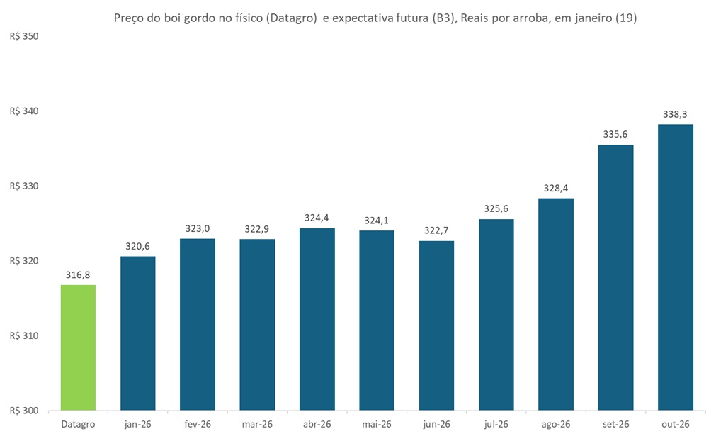 preço futuro do boi gordo