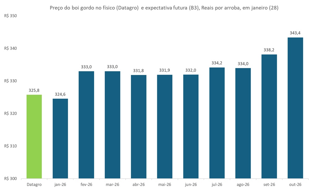 preço futuro do boi gordo