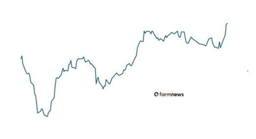 preço futuro do boi gordo
