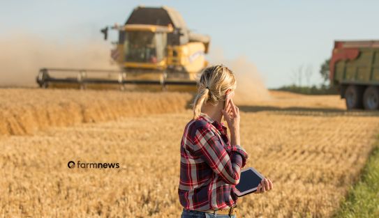gestão de risco no agronegócio