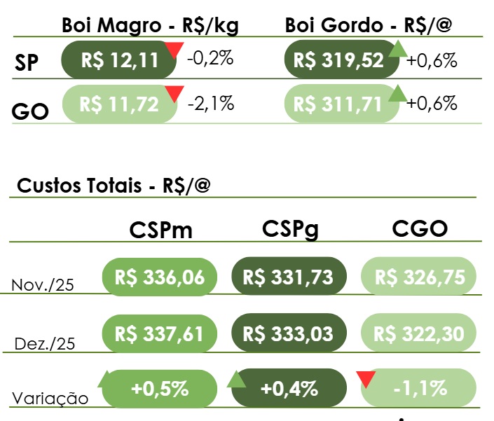 custo de produção de bovinos confinados