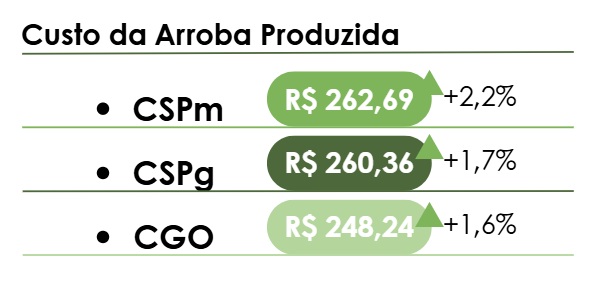 custo de produção de bovinos confinados