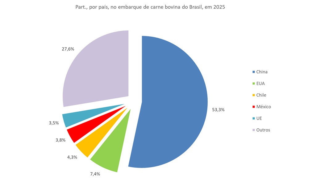 principais países importadores de carne bovina do Brasil