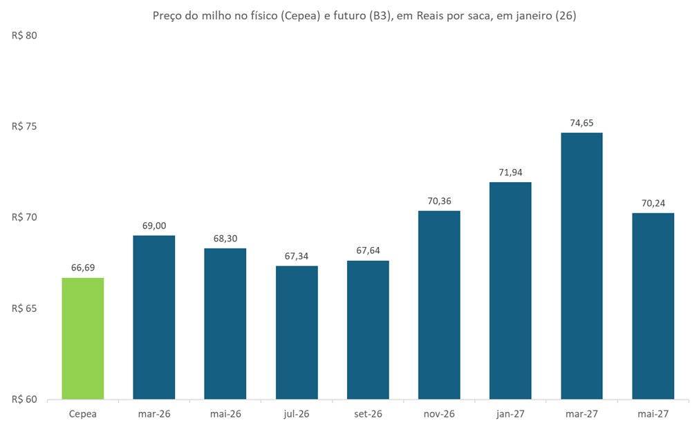 preço futuro do milho