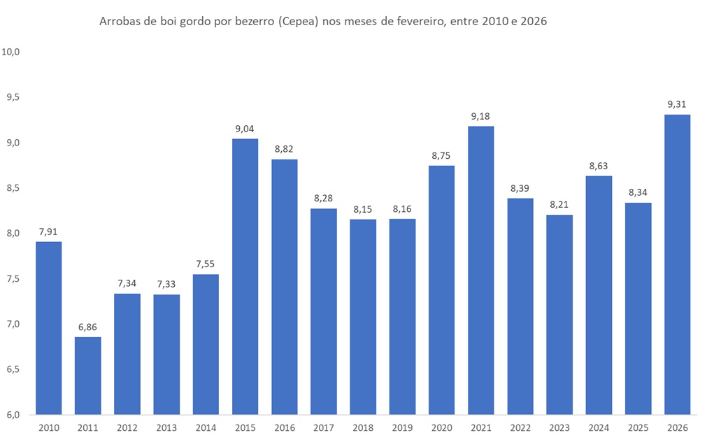 arrobas de boi gordo por bezerro