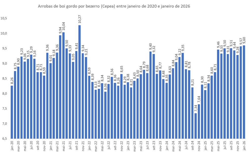 arrobas de boi gordo por bezerro