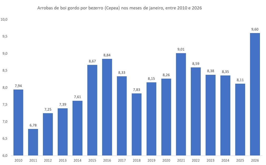 arrobas de boi gordo por bezerro
