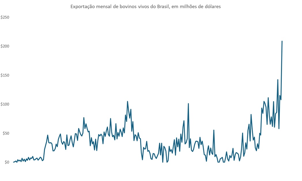 exportação de bovinos vivos