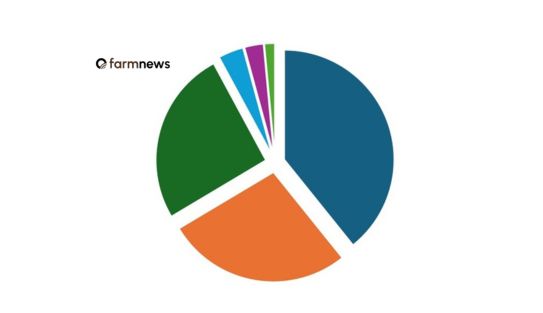 principais países importadores de bovinos vivos