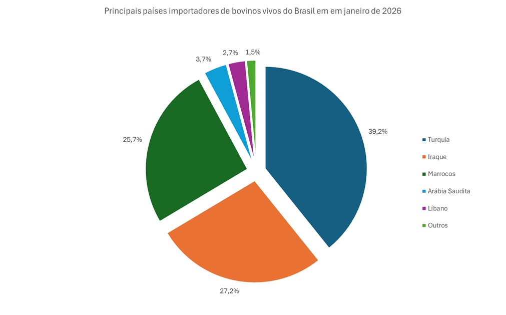 principais países importadores de bovinos vivos