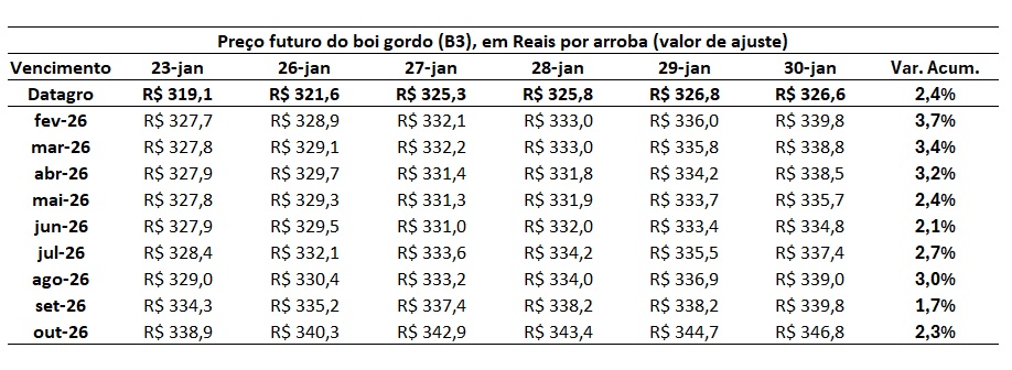 preço futuro do boi gordo para 2026