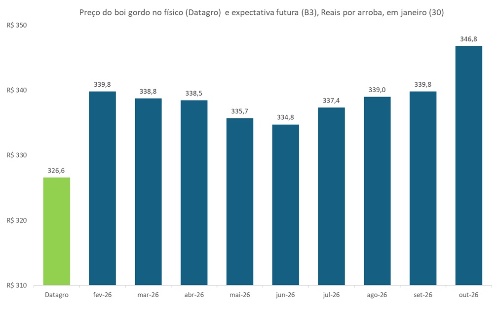 preço futuro do boi gordo para 2026