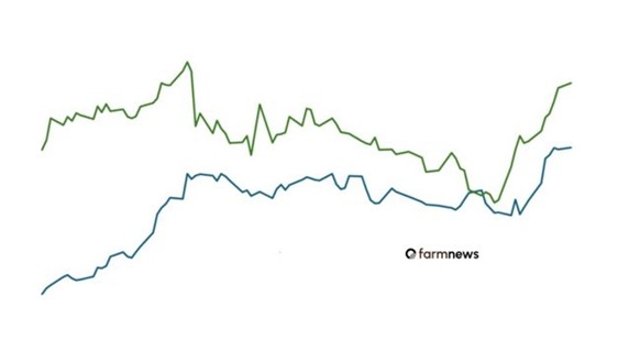 preço futuro do boi gordo
