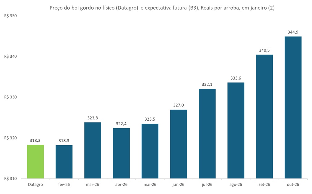 preço futuro do boi gordo