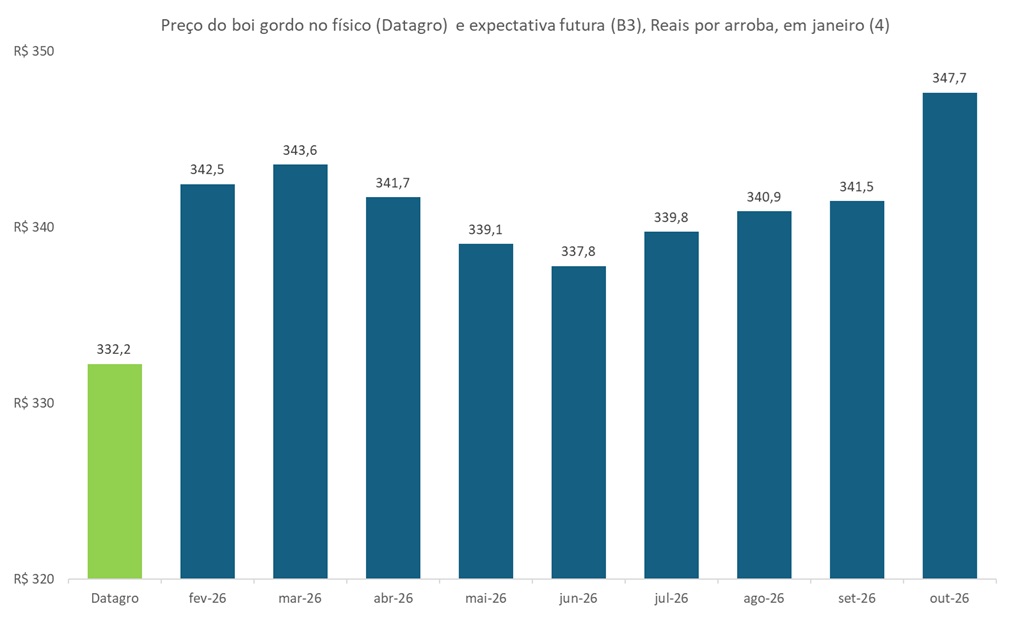 preço futuro do boi gordo