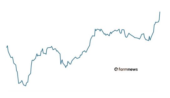 preço futuro do boi gordo