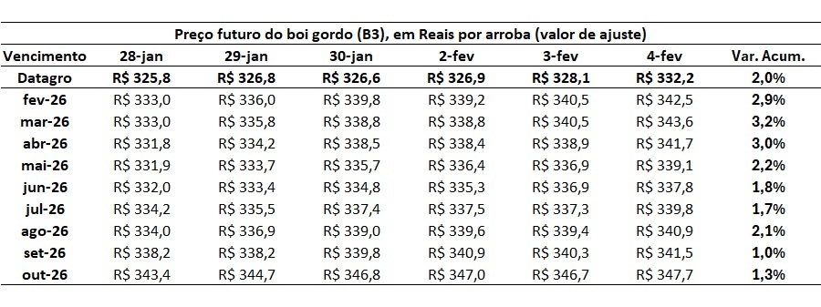 preço futuro do boi gordo