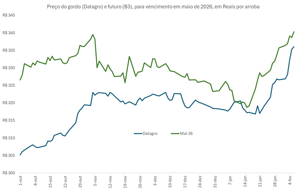 preço futuro do boi gordo