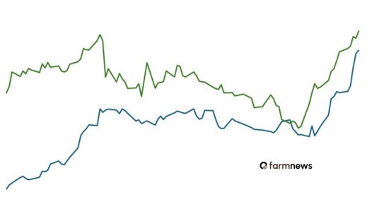 preço futuro do boi gordo