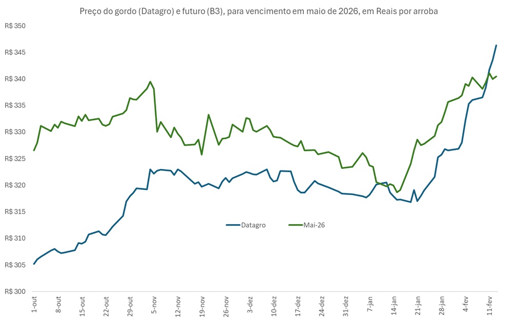 preço futuro do boi gordo