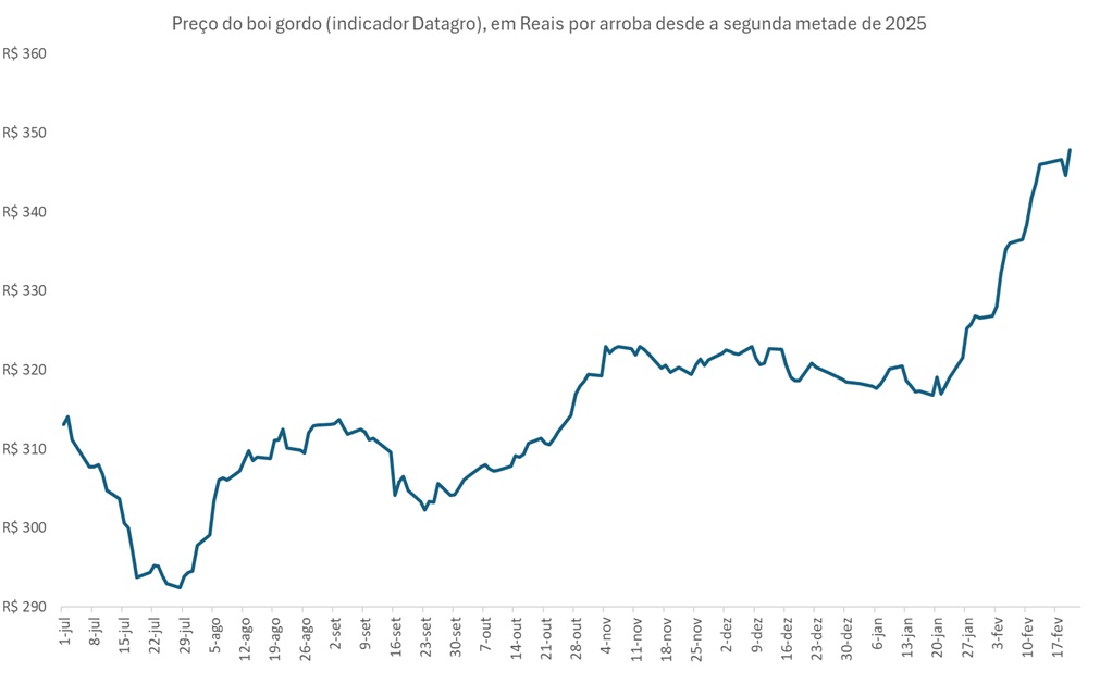 preço futuro do boi gordo