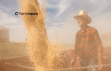 exportação de milho