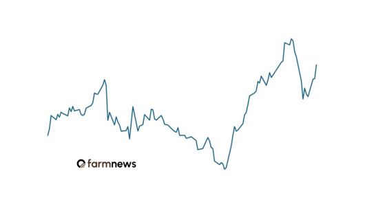 preço futuro do boi gordo