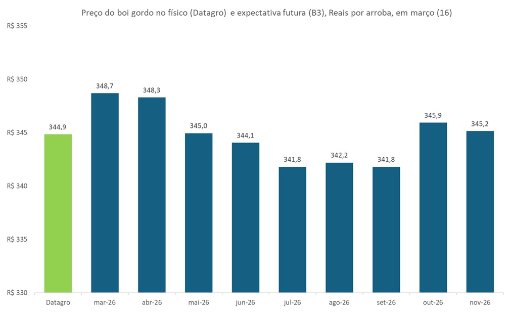 preço futuro do boi gordo