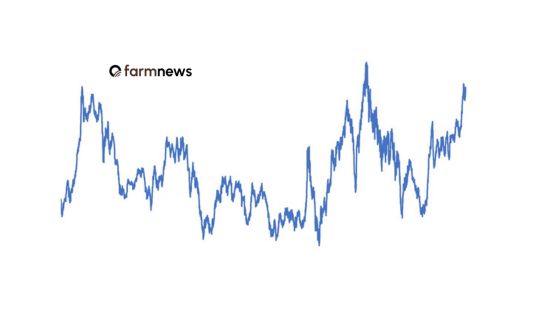 preço do boi gordo em dólares