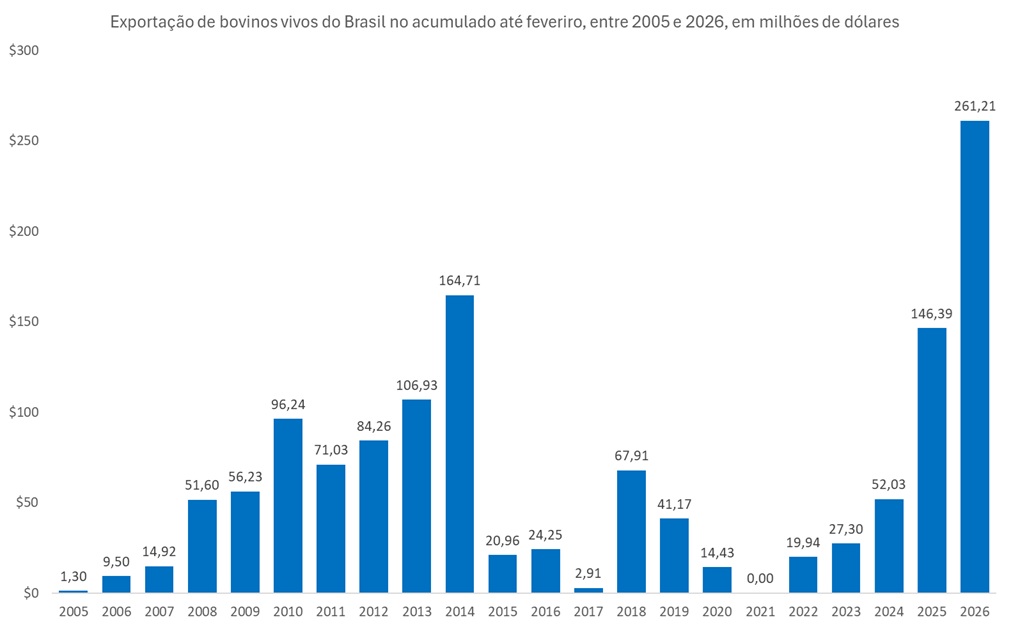 exportação de bovinos vivos 