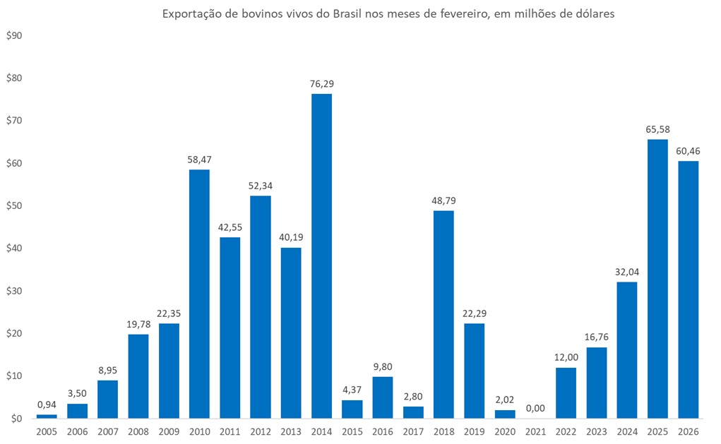 exportação de bovinos vivos