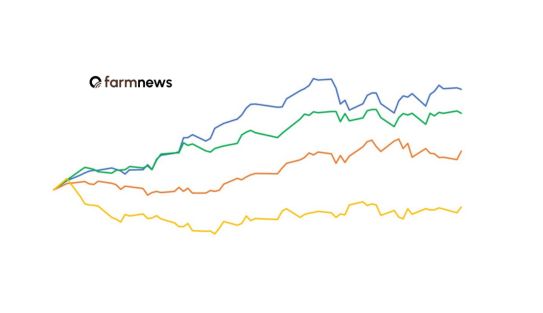 preço em dólares do boi gordo
