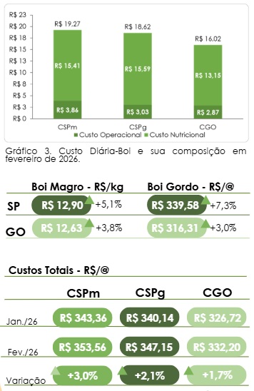 custo da engorda de bovinos confinados