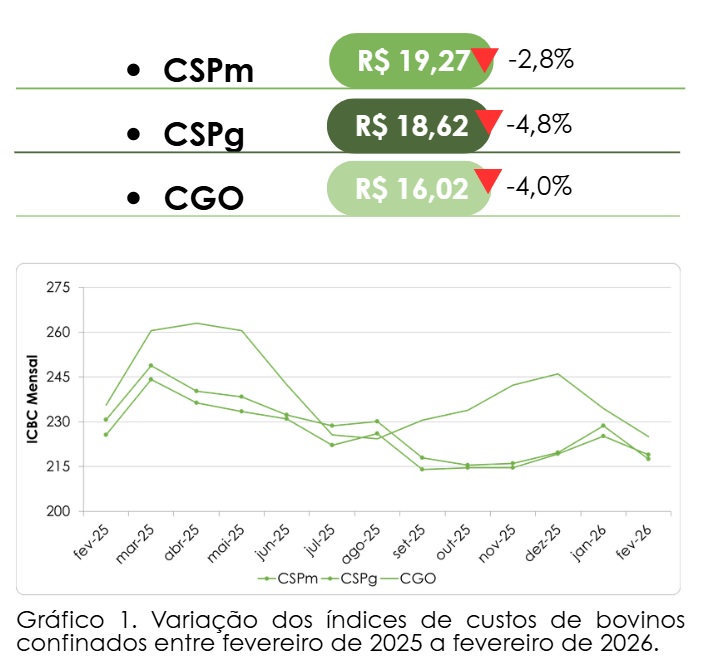 custo da engorda de bovinos confinados