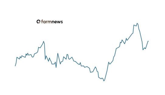 preço futuro do boi gordo