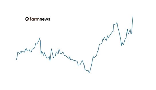 preço futuro do boi gordo