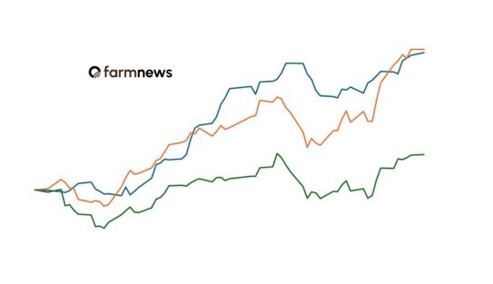 preço futuro do boi gordo
