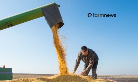 estoque mundial de milho