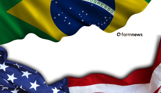 shield of the americas