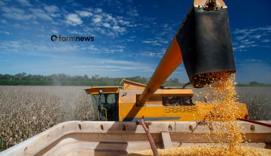 preço futuro do milho