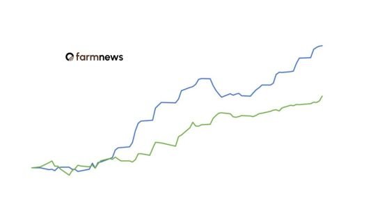 preço do boi gordo preço do boi gordo