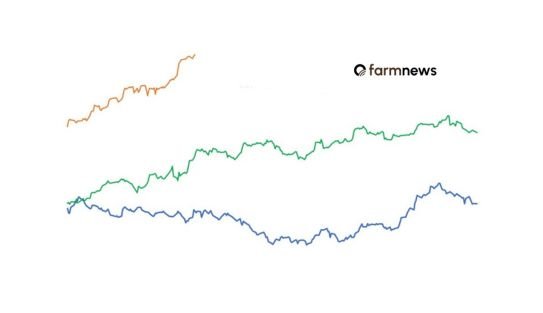 preço do bezerro em dólares