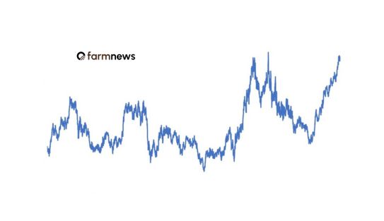 preço em dólares do bezerro