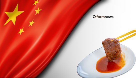 caso de febre aftosa na china