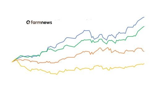 preço em dólares do boi gordo preço em dólares do boi gordo